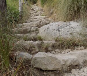 Lire la suite à propos de l’article Signes de vie Février 2026