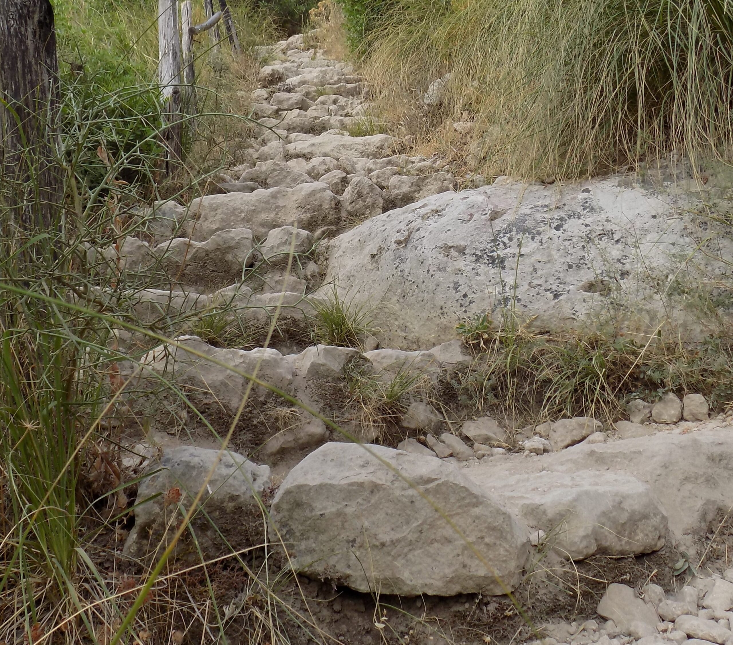 Lire la suite à propos de l’article Signes de vie Février 2026